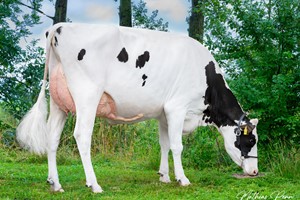 dochter