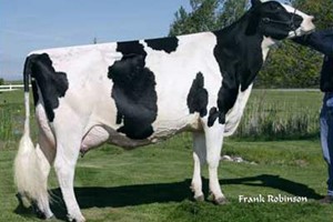 SEAGULL-BAY MANAT MIRAGE-ET EX-90