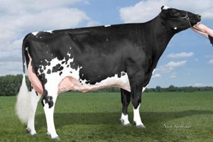 Stammoeder Aprilday S Verdejo EX-91