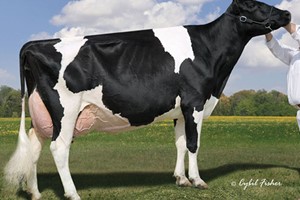 Lylehaven Lila Z TV EX-94