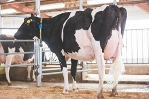 Siemers Lstr Hanan 33317-ET EX-91