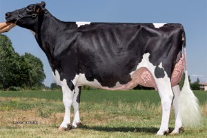 Lally AB-89 v. Pellegrino