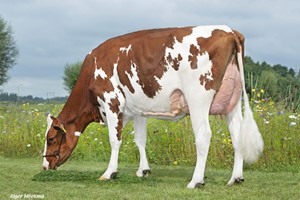 dochter Poppe Fienchen 2475