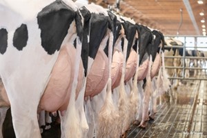 Ranger dochters op 1 bedrijf