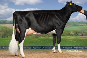 Moeder van Rockabilly