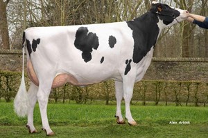 Silencium V/h Zomerbloemhof (v: Dolmen)