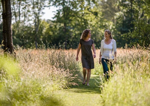 Levensloop psychologie 