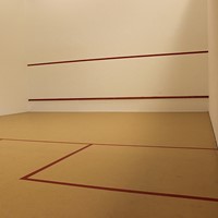 MeerSquash & Activity