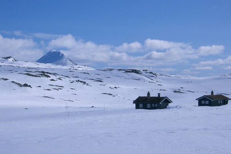 Ski Trekking Hardangervidda Noorwegen