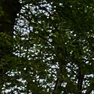 Rugzak Huren Rugzak Huren