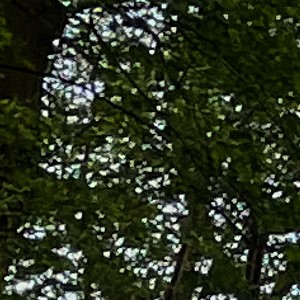 Rugzak Huren Rugzak Huren