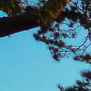 Slaapzak Huren Slaapzak Huren