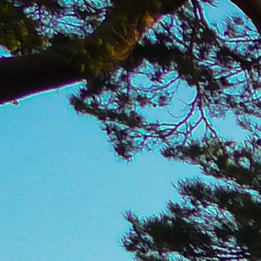 Slaapzak Huren Slaapzak Huren