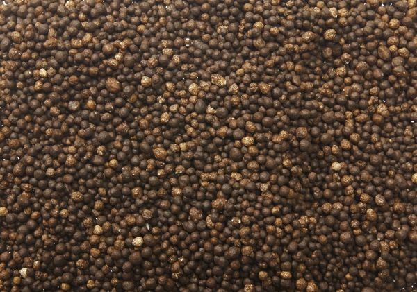 Corn fertilizer N24 + 0,25B + HUMICoat