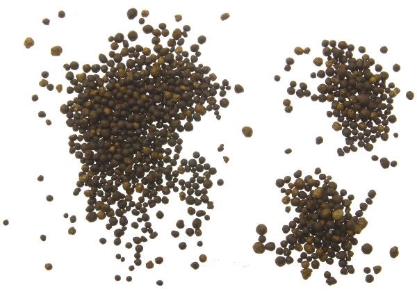 Corn fertilizer 15-0-15 HUMICoat