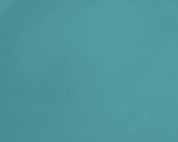 Solferto NPK 12-12-36 + TE