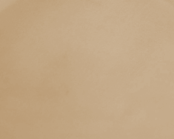 Solferto NPK 16-8-24 + TE