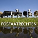 Fosfaatrechten, alle informatie in één oogopslag